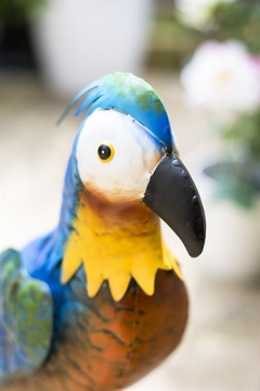 Dekoratif Bahçe Aksesuarı PAPAĞAN